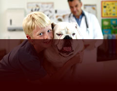 PupTarts Organic Dog Biscuits