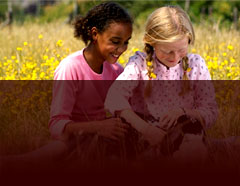 PupTarts Vegan Dog Treats