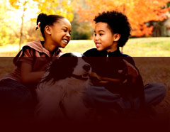 PupTarts Organic Dog Treats